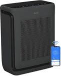 Top 10 Best Air Purifiers 2026